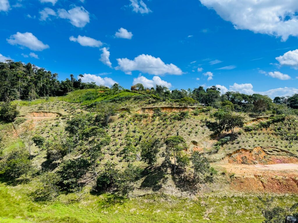 Se venden lotes financiados en San Roque