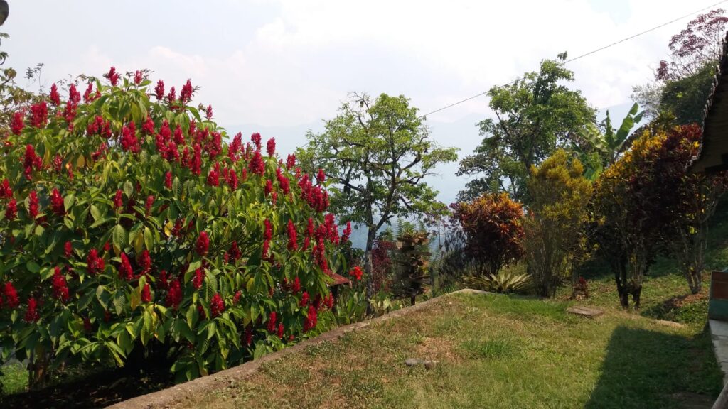 Se vende finca en Barbosa sector Pradera