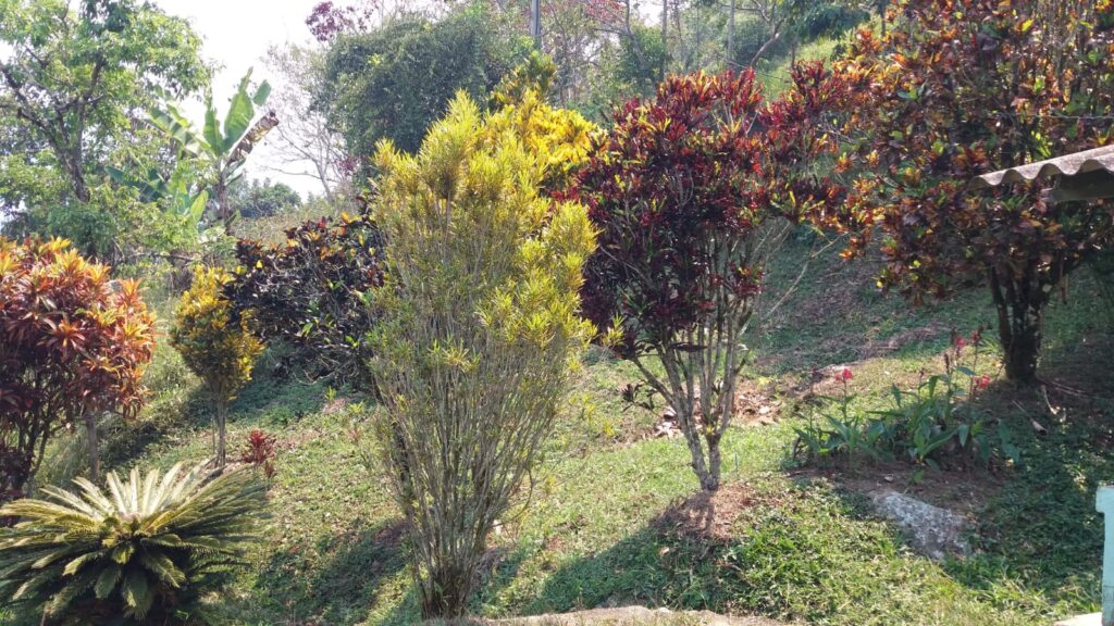 Se vende finca en Barbosa sector Pradera