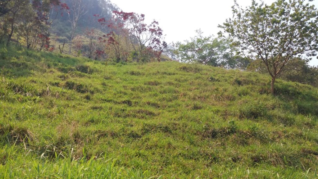Se vende finca en Barbosa sector Pradera
