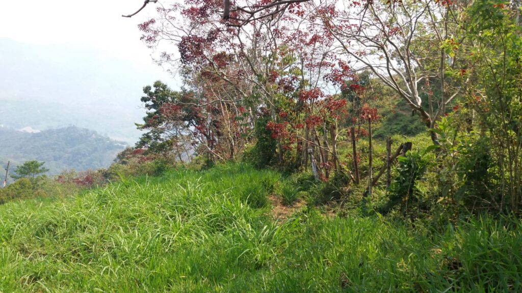 Se vende finca en Barbosa sector Pradera