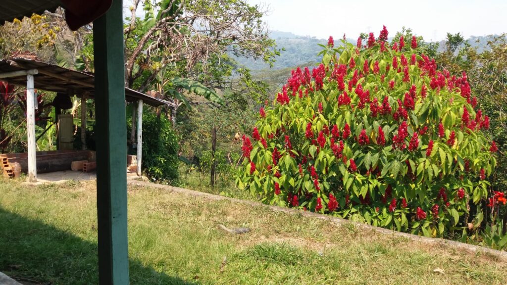 Se vende finca en Barbosa sector Pradera