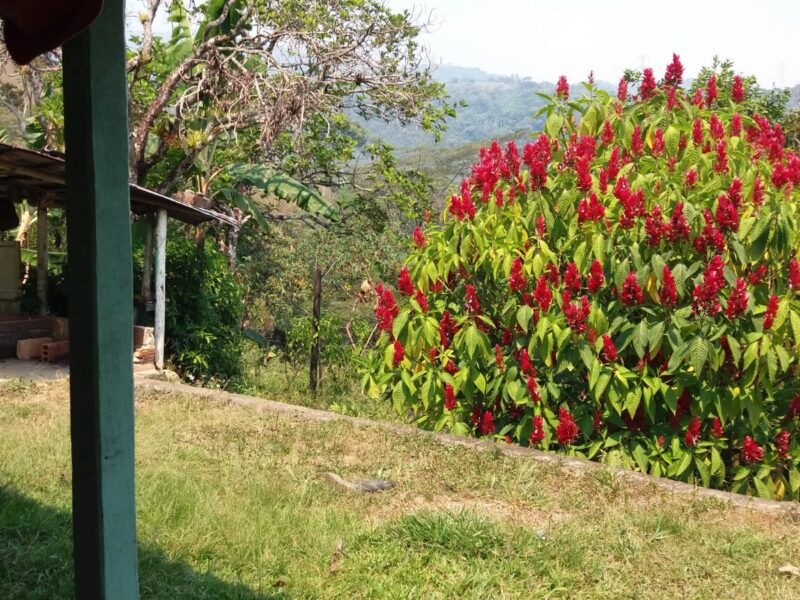 Se vende finca en Barbosa sector Pradera