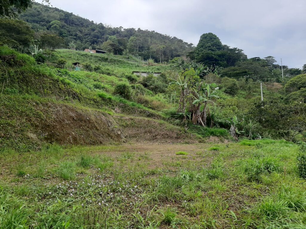 Se vende lote en Barbosa