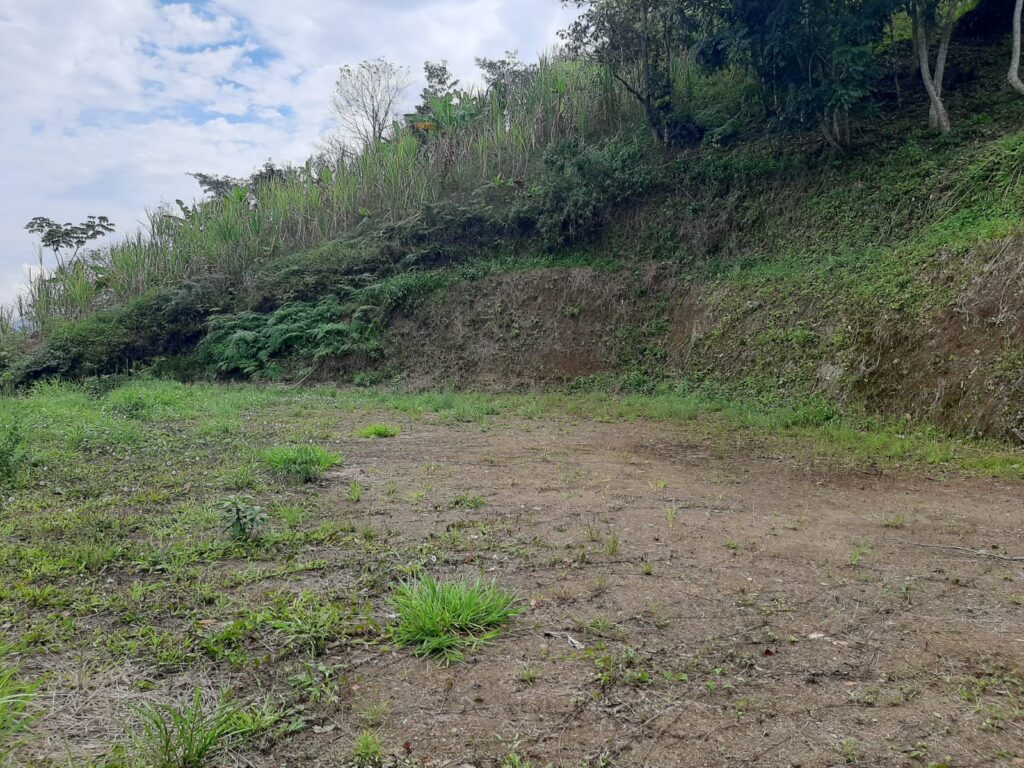 Se vende lote en Barbosa
